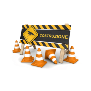 Costruzione Mosche