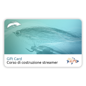 corso costruzione streamer