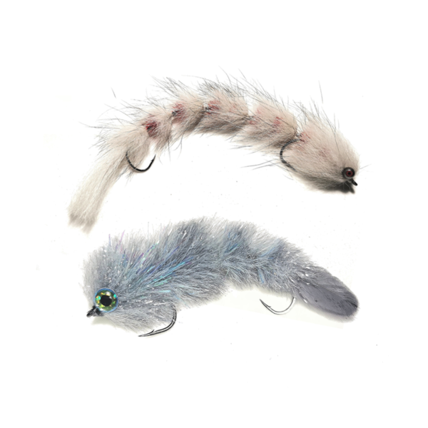 Mosca Dei Capelli Di Cervo - Italia - Foto 6