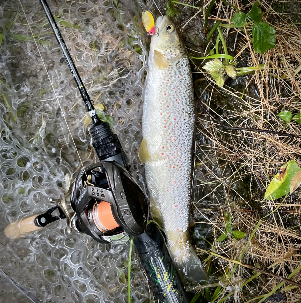 MOUNTAIN STREAM BFS - TROUT FISHING ITALIAN ALPS STREAMS - Alps Store &  Fishing Service